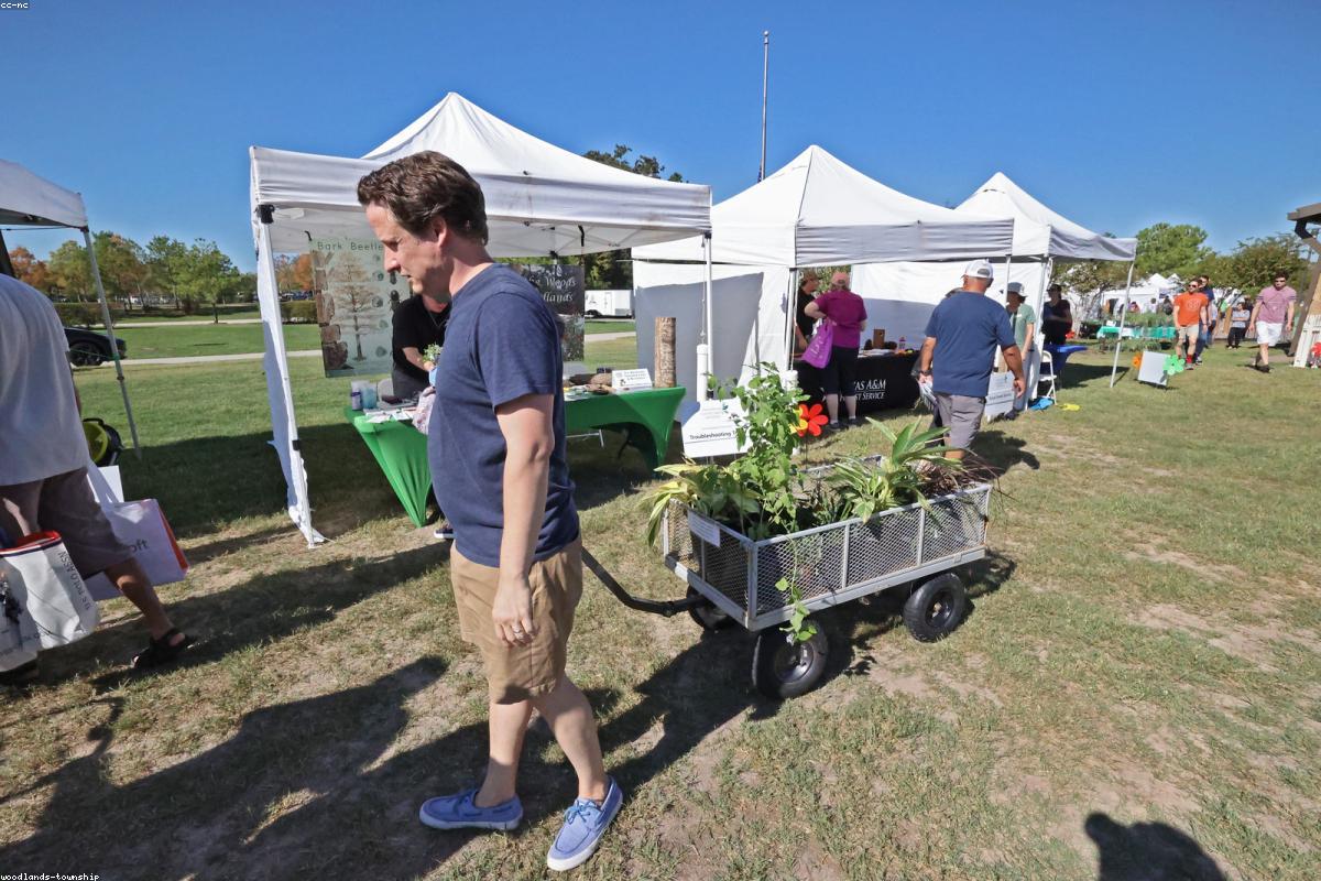 Carré de potager en automne avec courges, choux et paillis de feuilles